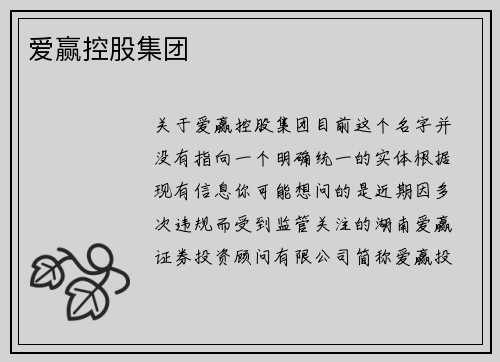 爱赢控股集团